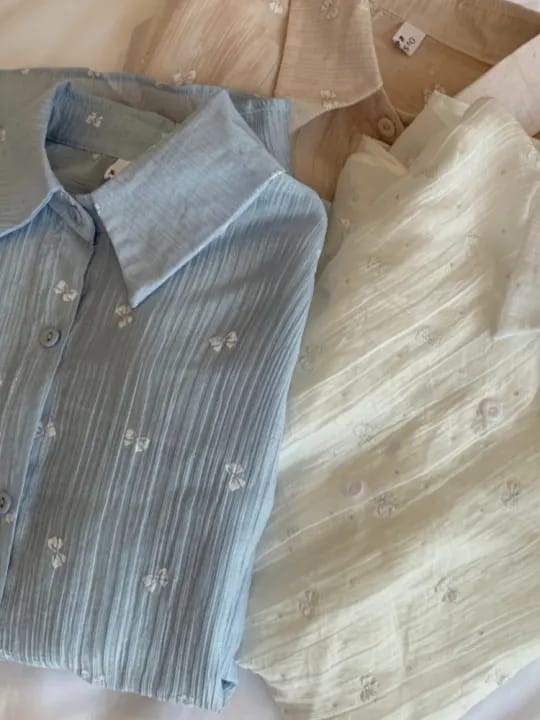 Korean Style Embroidered Sheer Button-Up Shirt – Loose Fit, Free Size