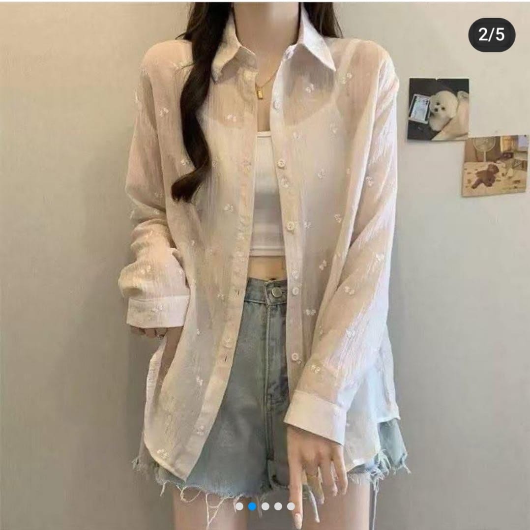 Korean Style Embroidered Sheer Button-Up Shirt – Loose Fit, Free Size
